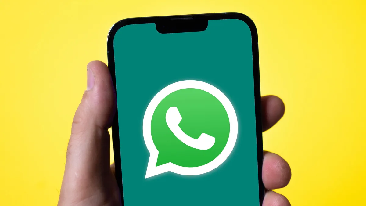 如何通过WhatsApp号码查询性别？分享批量识别男女用户的方法。